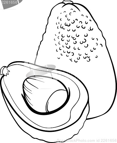 Image of avocado fruit for coloring book