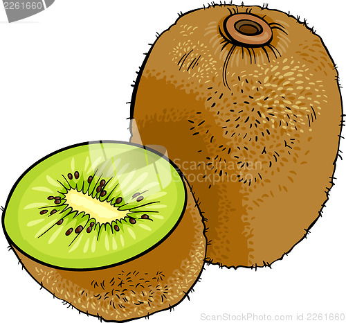 Image of kiwi fruit cartoon illustration