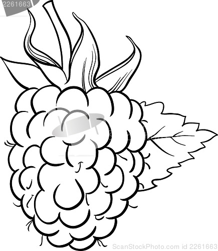 Image of raspberry illustration for coloring book