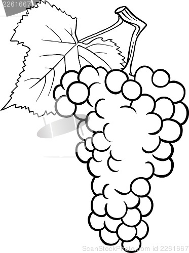 Image of grapes illustration for coloring book