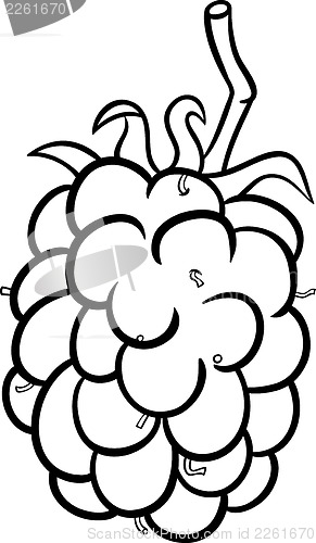 Image of blackberry illustration for coloring book