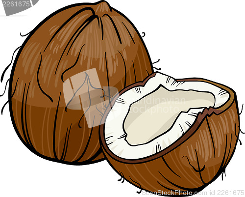 Image of coconut cartoon illustration