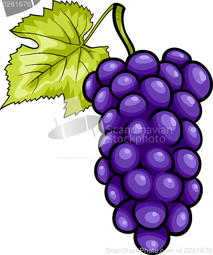 Image of blue grapes fruit cartoon illustration