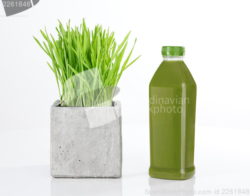 Image of Wheatgrass and bottle of green juice