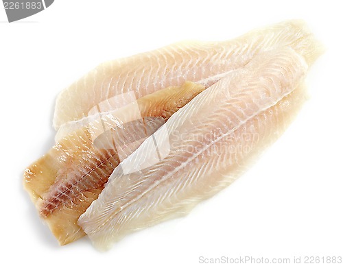 Image of various fresh raw fish fillet