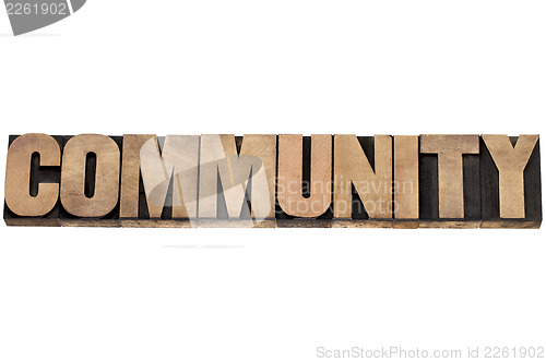 Image of community in wood type