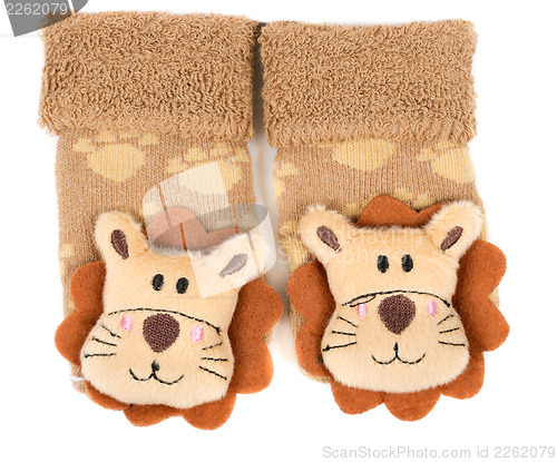 Image of pair of children's sneakers with a muzzle of a lion