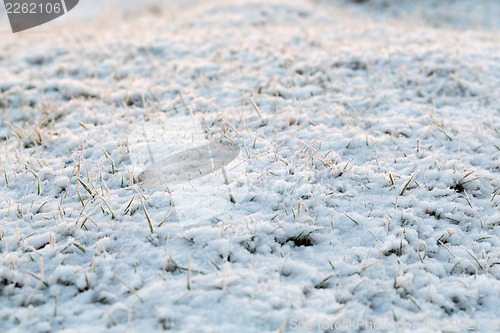 Image of abstract natural background with dry grass in snow