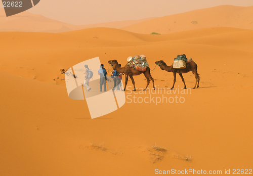 Image of Into the desert