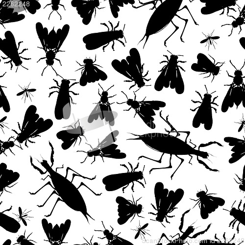 Image of Insect seamless pattern