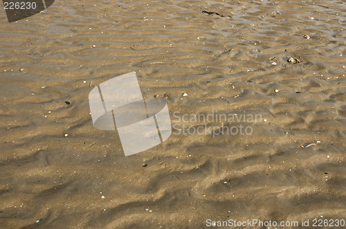 Image of Sand ripples