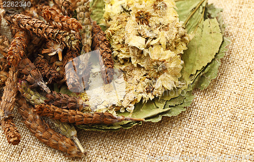 Image of Chinese herbal medicine ingredient