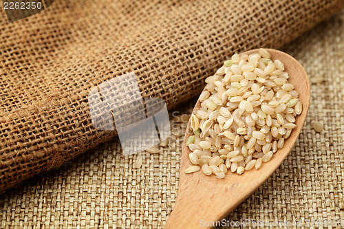 Image of Rice 