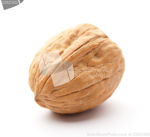 Image of Walnut on white background