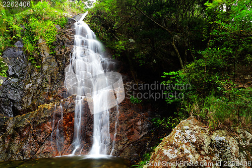 Image of Waterfall in forest 