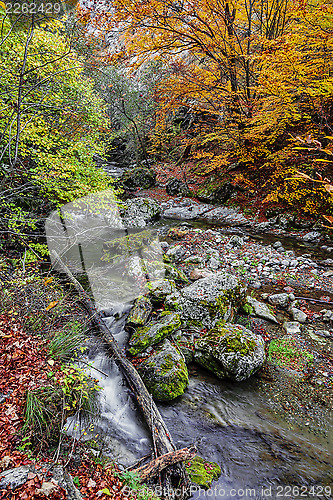 Image of Rametului Gorge