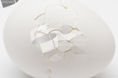 Image of Cracked white egg