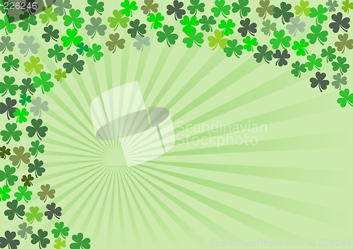 Image of Shamrock - 4