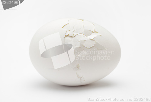 Image of Cracked egg