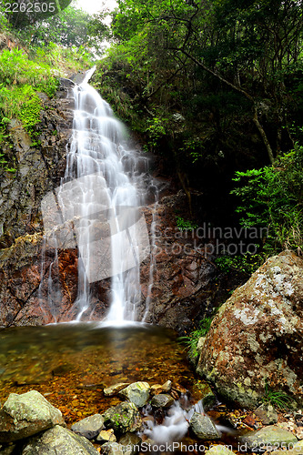 Image of Tropical forest with waterfall