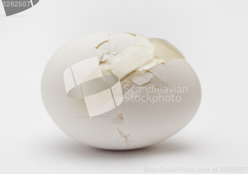 Image of Cracked white egg with plastic plaster 