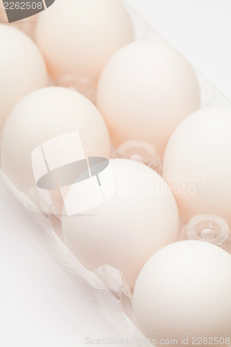 Image of White egg