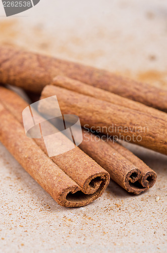 Image of Cinnamon