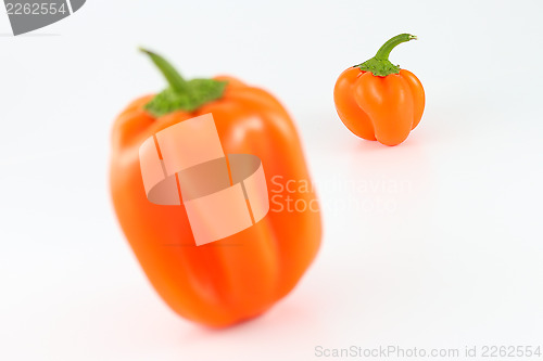 Image of Orange Bell Peppers