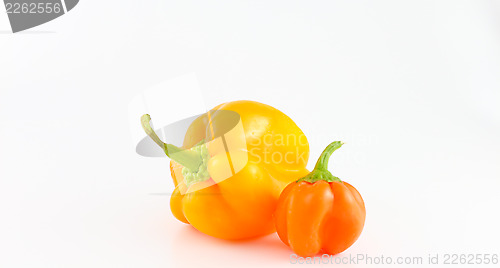 Image of Bell Peppers