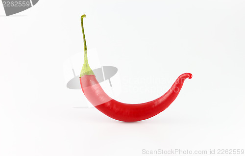 Image of Chili Pepper