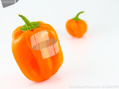 Image of Orange Bell Peppers