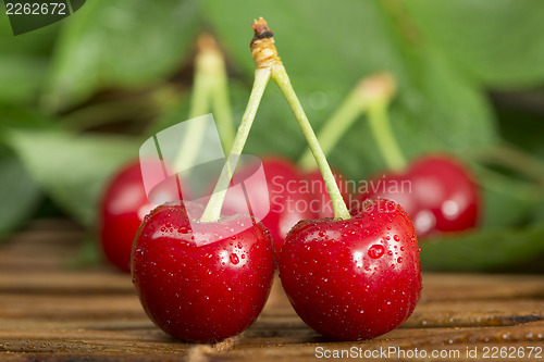 Image of Cherries and branch with leaves