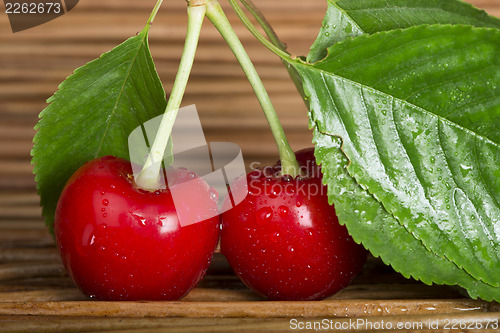 Image of Cherry branch with leaves