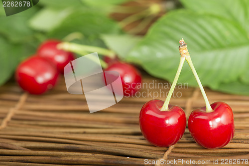 Image of Cherries and branch with leaves