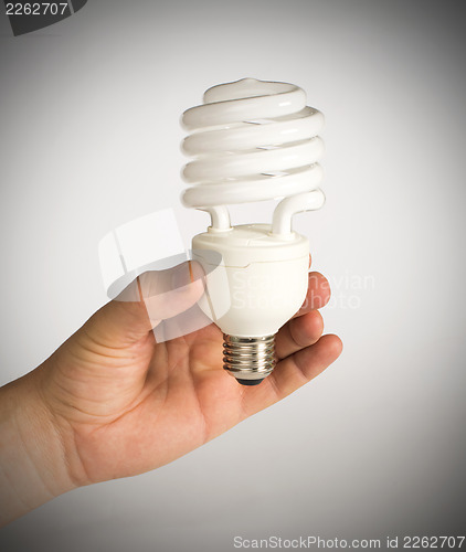 Image of Ecological economical lamp
