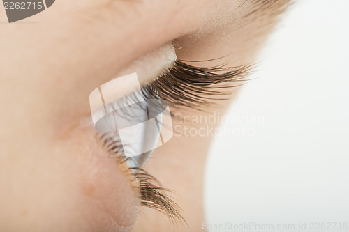 Image of Human eye in profile