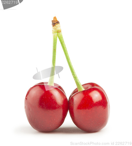 Image of Two Cherries white isolated