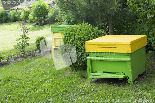 Image of Yellow beehives