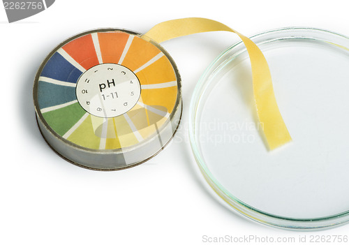 Image of Litmus paper and beaker