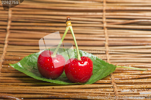 Image of Cherry branch with leaves