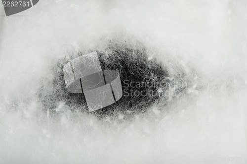 Image of Cotton wool