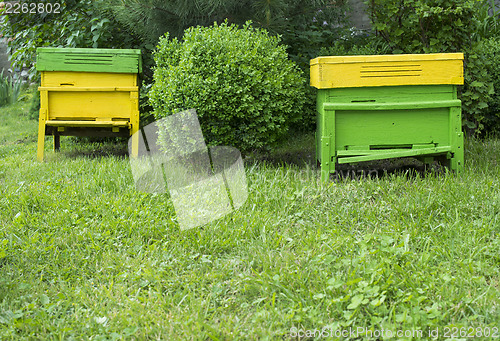 Image of Yellow beehives