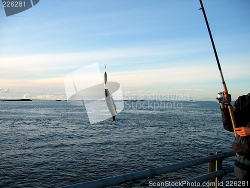 Image of Fishing on the Atlanticroad