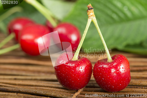 Image of Cherries and branch with leaves