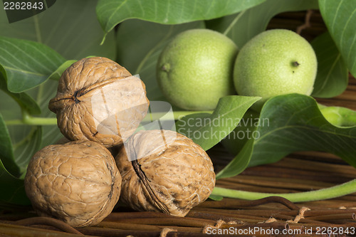 Image of Green and ripe walnuts. Studio shot