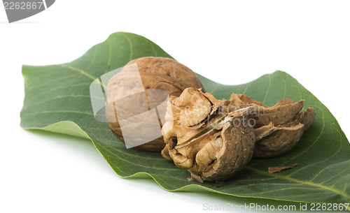 Image of Walnuts and branch with leaves white isolated