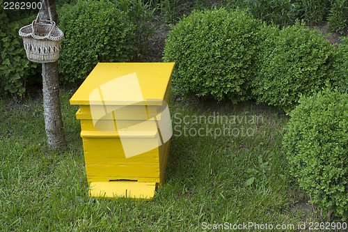 Image of Yellow beehive
