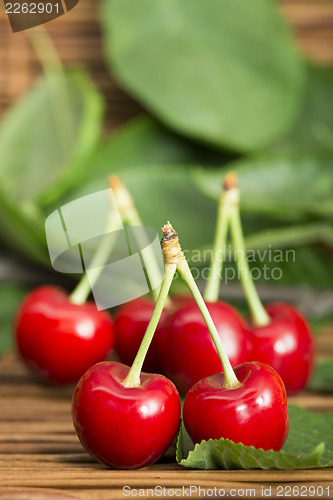 Image of Cherries and branch with leaves