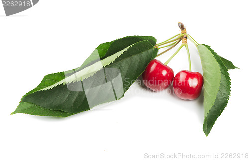 Image of Two Cherries and branch with leaves