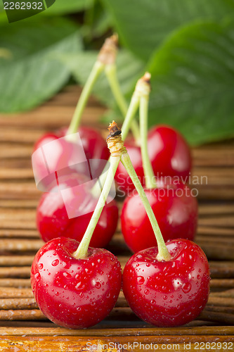 Image of Cherries and branch with leaves